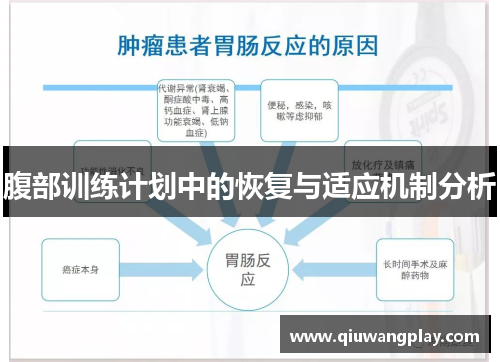 腹部训练计划中的恢复与适应机制分析